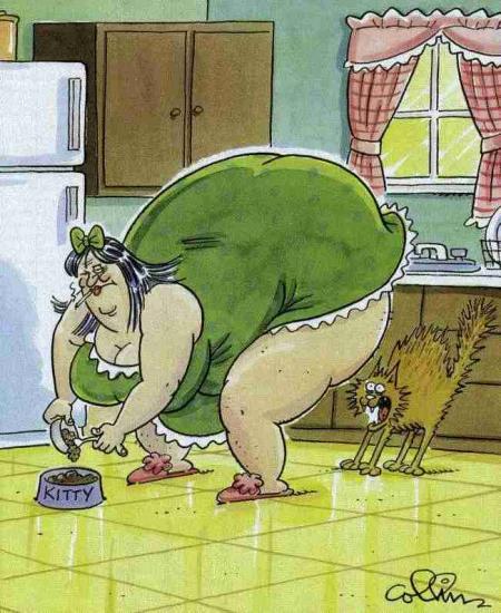 povre tit chat